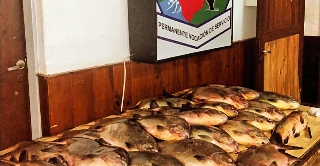 Le dijo a la Policía que tuvo suerte en la pesca: había robado 26 pacúes
