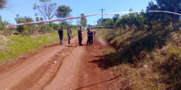 Dos perros atacaron y mataron a un hombre en Campo Viera