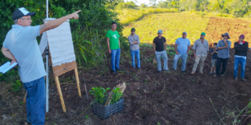 Restaurar la selva misionera para las personas y la naturaleza 