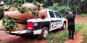 Seguridad rural: la policía recuperó a “motoneta” y evitó el robo de una tonelada de yerba