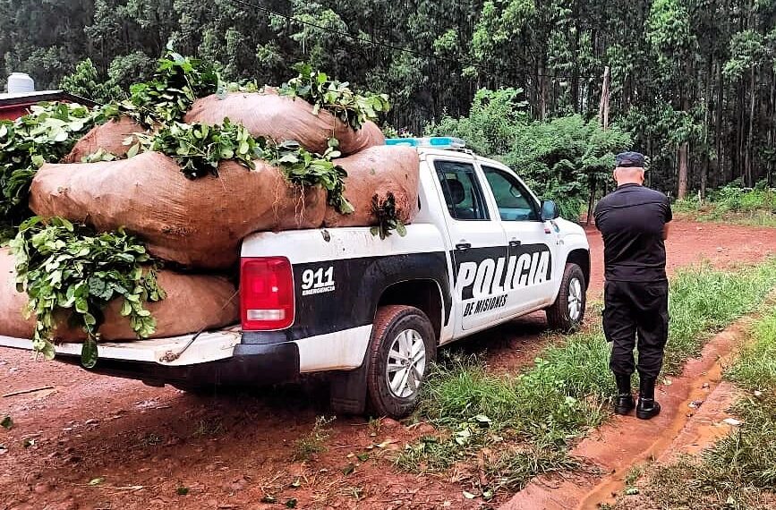 Seguridad rural: la policía recuperó a “motoneta” y evitó el robo de una tonelada de yerba