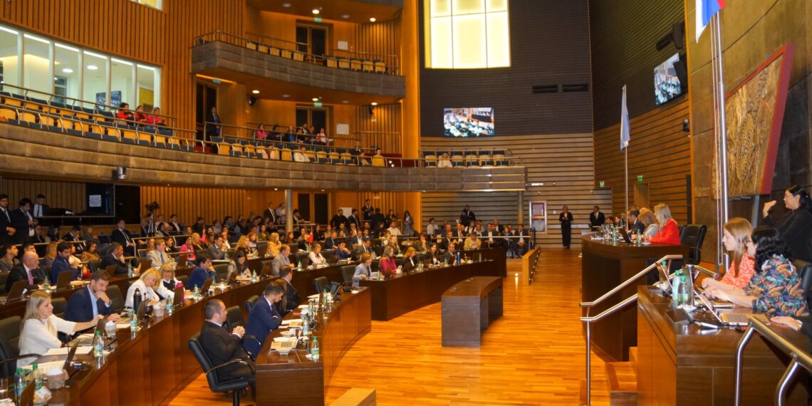 La Legislatura misionera creó un programa de tratamiento y rehabilitación física y cognitiva