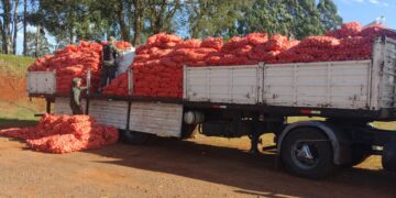 Inspeccionaban un camión que trasladaba cebollas y detectaron 28 toneladas de cobre