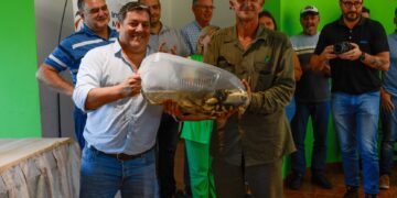 Con fondos provinciales avanza la producción piscícola en Misiones