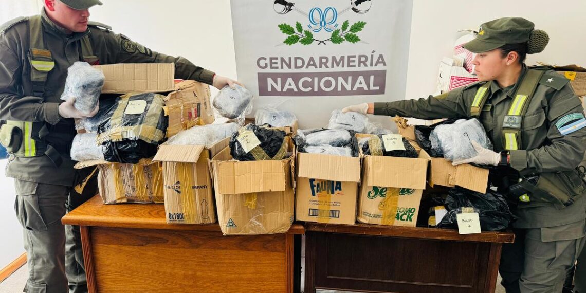 Incautan 44 kilos de marihuana que fueron enviadas desde Misiones a Bariloche por encomiendas