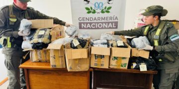 Incautan 44 kilos de marihuana que fueron enviadas desde Misiones a Bariloche por encomiendas