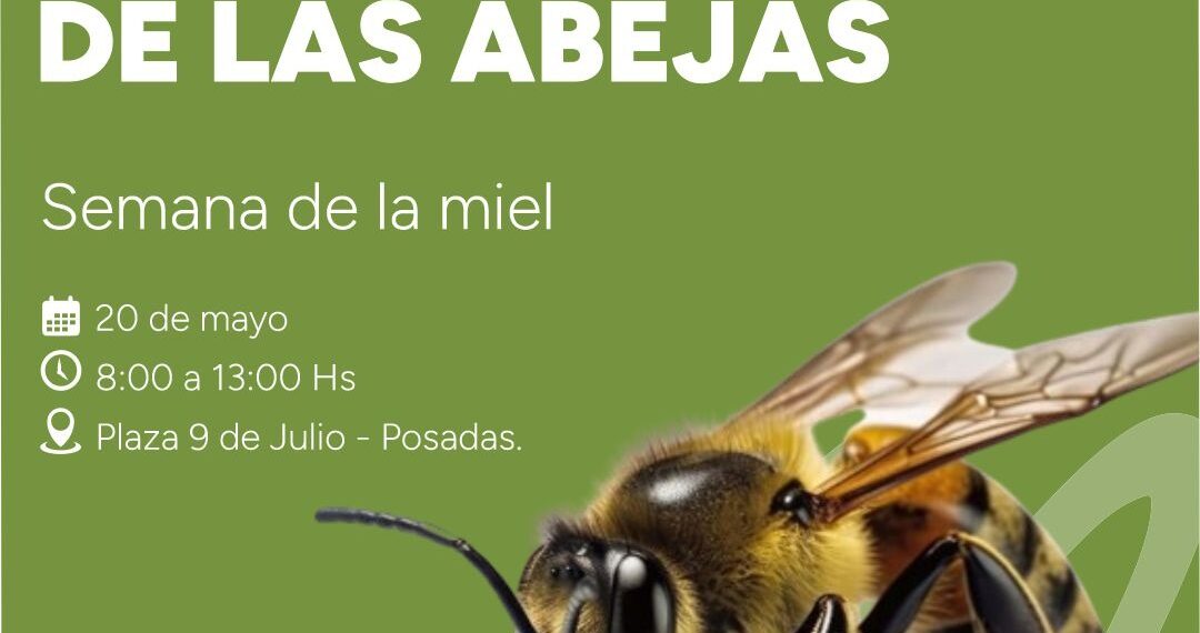 Día Mundial de las Abejas: Misiones potencia el sector apícola