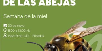 Día Mundial de las Abejas: Misiones potencia el sector apícola