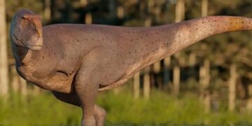 Hallaron en Chubut una especie desconocida de dinosaurios