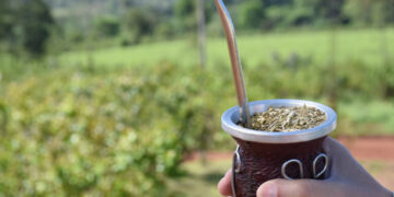 Las ventas de yerba mate superaron los 92 millones de kilos entre enero y abril