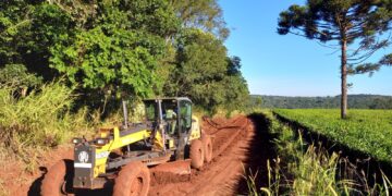 Vialidad de Misiones trabaja con prioridad en la Red Vial terrada