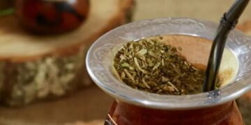Las exportaciones de Yerba Mate crecieron un 14,5% entre enero y mayo