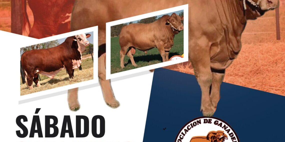 Este fin de semana será sede del 4º Remate Provincial de Productores