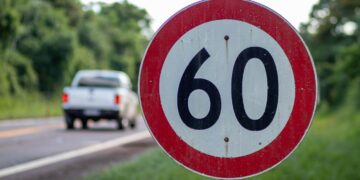 Desde Vida Silvestre recuerdan la importancia de respetar los límites de velocidad