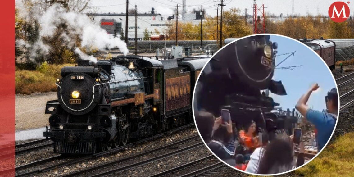 México: quiso sacarse una selfie durante el paso de un tren y la locomotora la desnucó