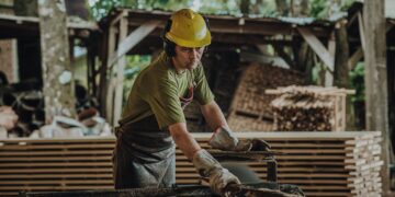 Continúa vigente la línea de créditos con tasa bonificada por la provincia destinada al fortalecimiento del sector yerbatero y forestal