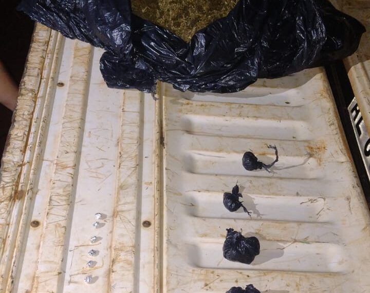 Incautaron marihuana y dosis de cocaína en un operativo nocturno en San Pedro
