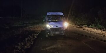 Falleció tras ser embestida por un auto en Concepción de la Sierra