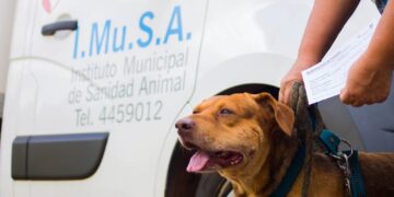 El Imusa extiende su cobertura con atención veterinaria en los barrios posadeños