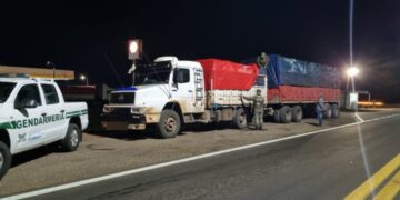 Incautan soja ilegal valuada en más de $131 mil millones con destino a Misiones