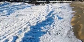 Por el frío extremo, se congelaron las olas del mar en Tierra del Fuego