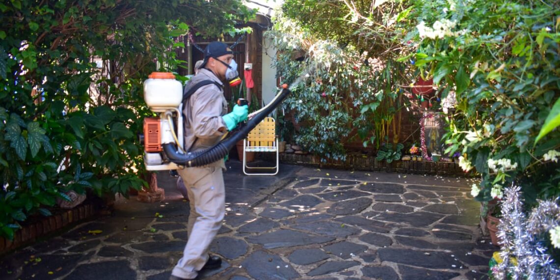 Contra el Dengue: con prevención, continúa el descacharrado en toda en la ciudad