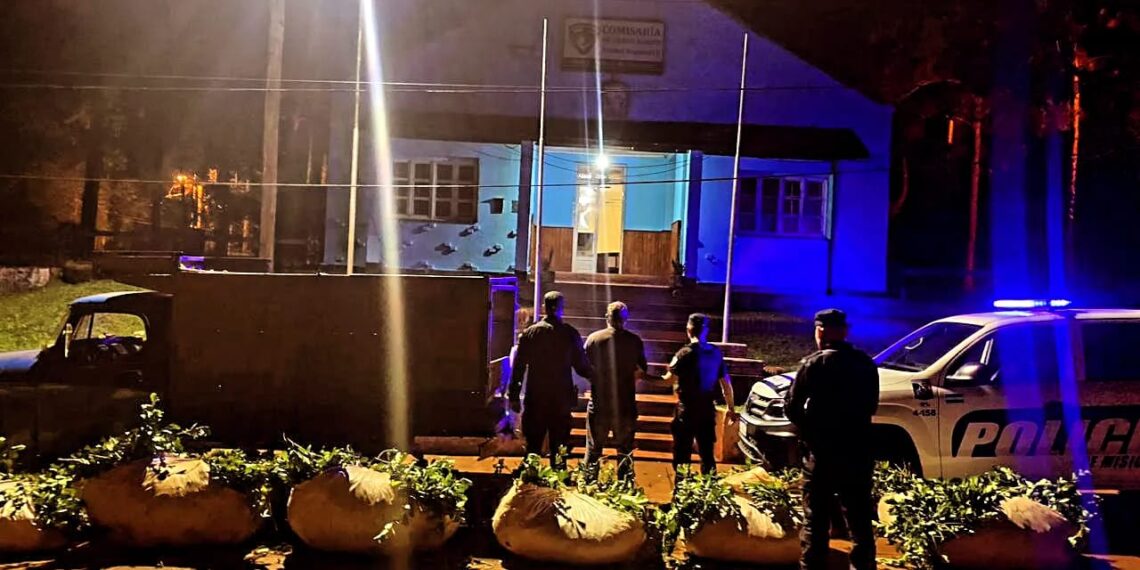 Siete hombres arrestados: Dos robaron raídos de yerba y otros cinco por conducción bajo efectos del alcohol