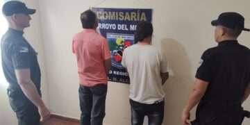 En operativos de seguridad, detuvieron a 6 personas involucradas en varios delitos
