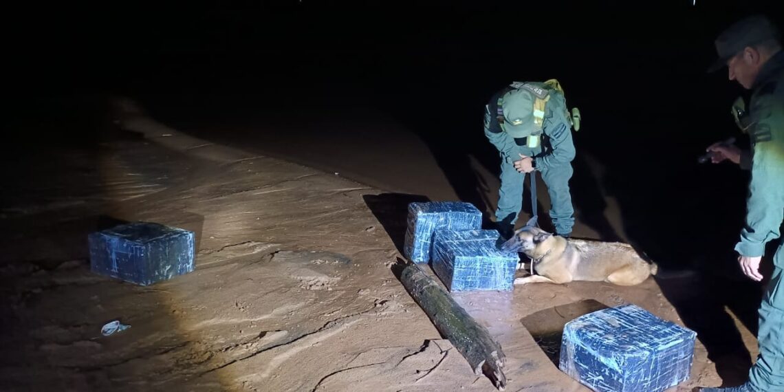 Hallaron cerca de 100 kilos de marihuana a orillas del Paraná, en San Ignacio