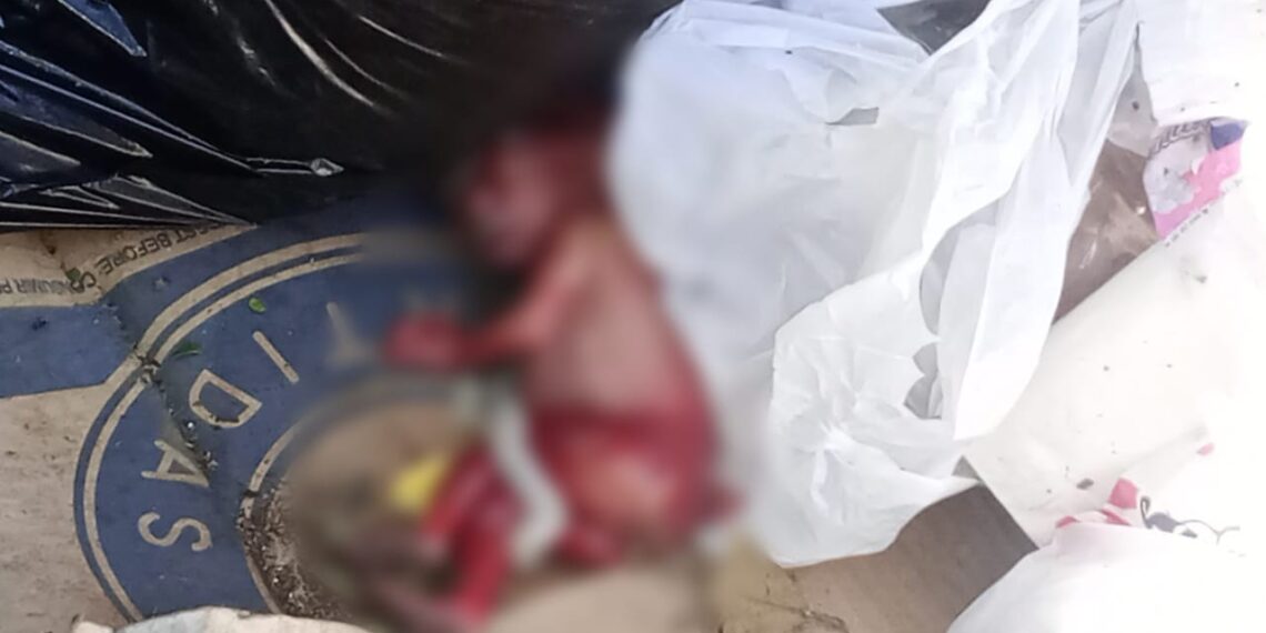 Hallaron un feto en un contenedor de basura de Posadas: buscan a la madre