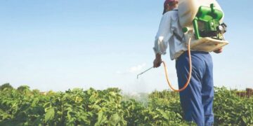 Misiones prorrogó por cinco años el plazo de prohibición del uso del glifosato en todo el territorio provincial