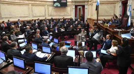 El Senado aprobó por unanimidad un proyecto para agravar penas para la sustracción de menores