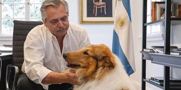 Milei le ofreció a Alberto Fernández adoptar a su perro Dylan, en medio de las denuncias por violencia y corrupción