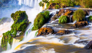 El pasto de las Cataratas del Iguazú fue declarado Monumento Natural