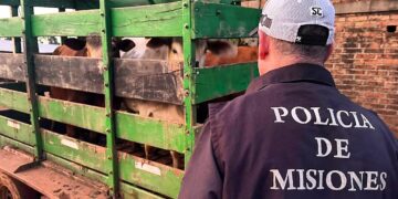 Policías frustraron el robo de ganado: tres vacunos recuperados y una camioneta secuestrada