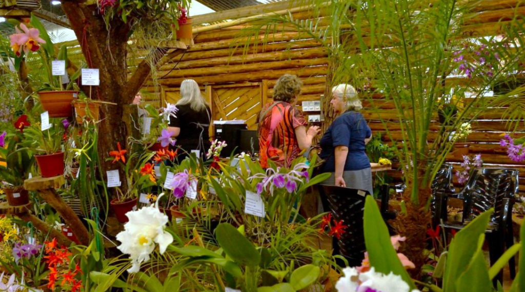 Montecarlo: todo listo para una nueva edición de la Fiesta Nacional de la Orquídea y Provincial de la Flor