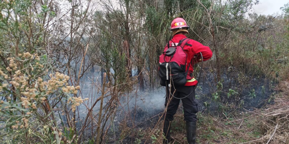 En la última semana bomberos de la Policía combatieron 46 focos de incendios