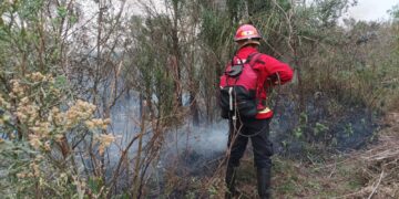 En la última semana bomberos de la Policía combatieron 46 focos de incendios