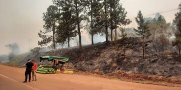 Vendedor de sandías arrojó la colilla de su cigarrillo sin apagar al malezal y provocó un incendio sobre la ruta 14