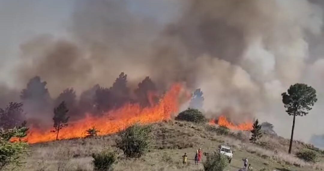 Incendios en Córdoba: el viento complica el trabajo de los bomberos y el fuego avanzó sobre algunas viviendas