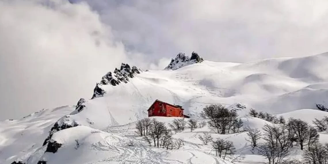Avalancha en Bariloche: rescataron con vida a un turista que pasó la noche tapado por la nieve