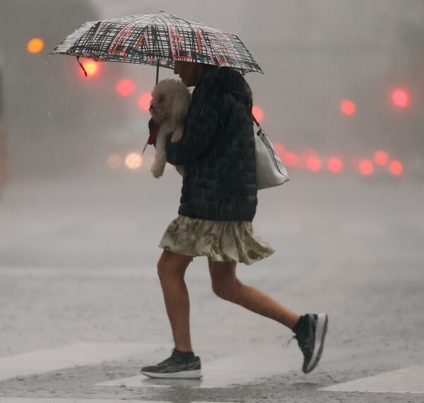 Anticipan lluvias para toda la provincia desde el jueves y ola de calor nuevamente a partir del domingo