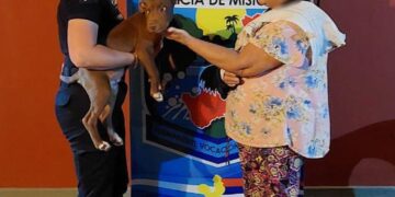 Vivienda allanada en Andresito escondía más de 40 artículos robados: hasta el perro era ajeno