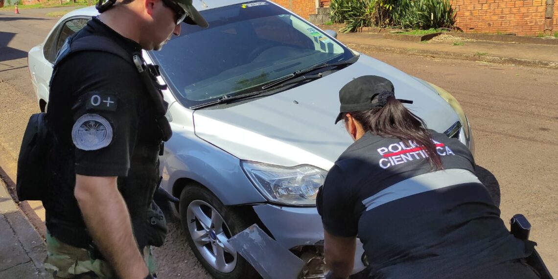Ubicaron al presunto conductor y al vehículo involucrado en la muerte de un puma en Iguazú