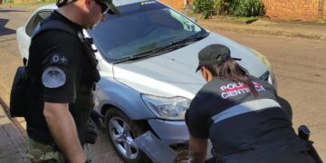 Ubicaron al presunto conductor y al vehículo involucrado en la muerte de un puma en Iguazú