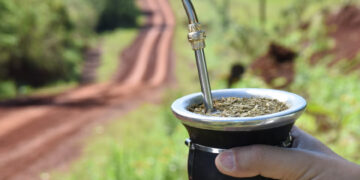 Las ventas de yerba mate superaron los 226 millones de kilos entre enero y septiembre