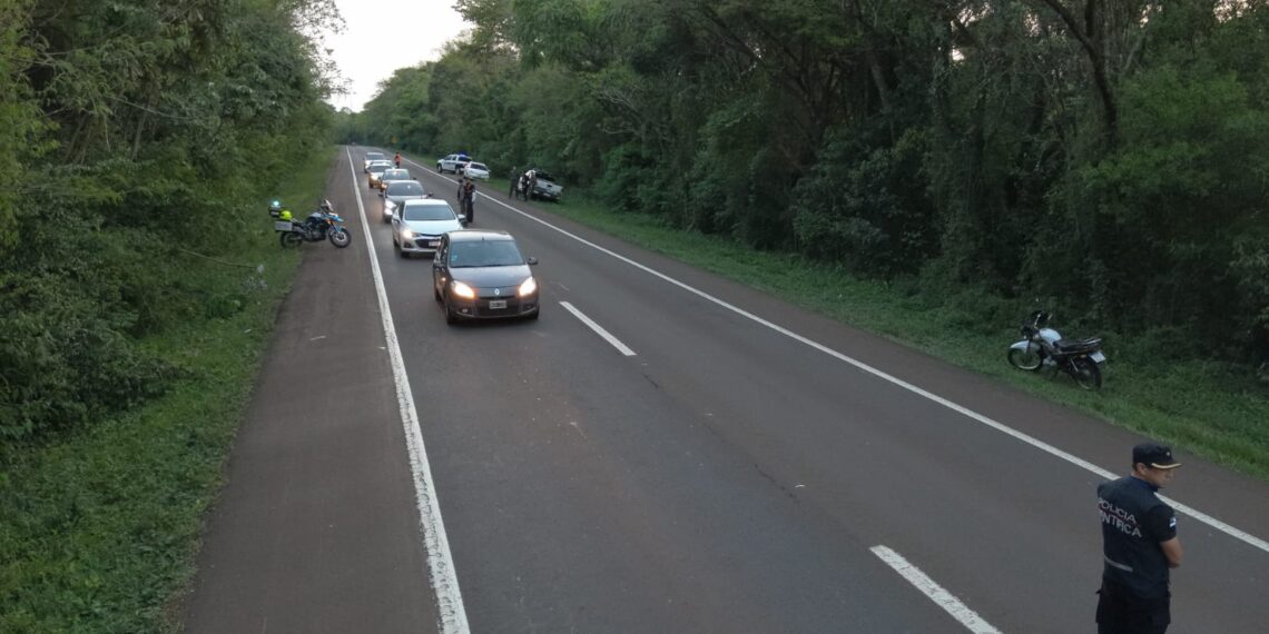 Intenso operativo provincial para ubicar al vehículo que atropelló a un yaguareté en Iguazú