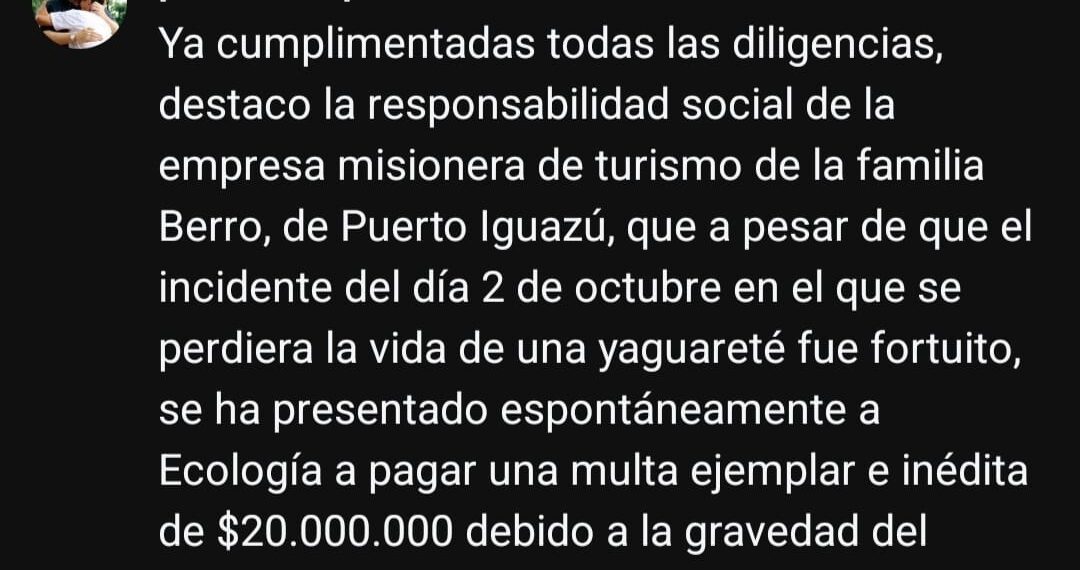 Confirman que la empresa responsable del atropellamiento y la muerte de una yaguareté, pagó una multa de 20 millones de pesos