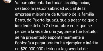 Confirman que la empresa responsable del atropellamiento y la muerte de una yaguareté, pagó una multa de 20 millones de pesos