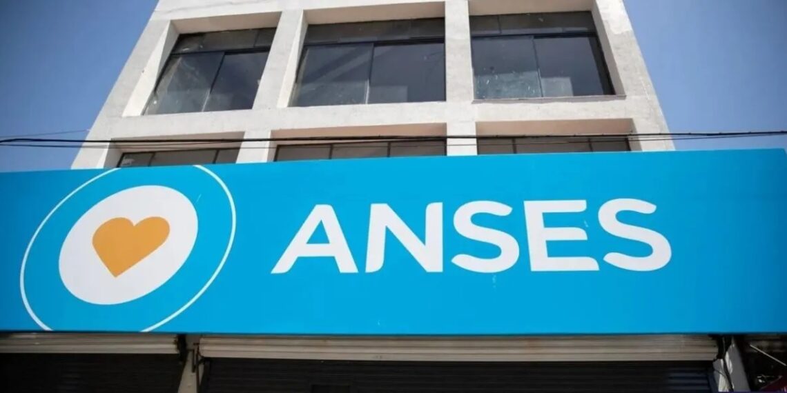 Capital Humano denunció 203 casos de embarazos falsos para cobrar una asignación